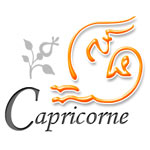 horoscope capricorne