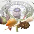 Horoscope alimentation