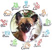 Horoscope chien