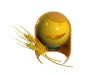 Horoscope vierge